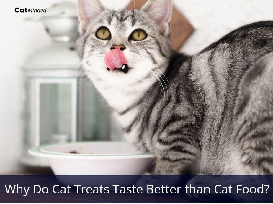 why do cat treats taste better than cat food