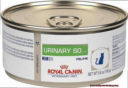 Can Healthy Cats Eat Urinary Food?