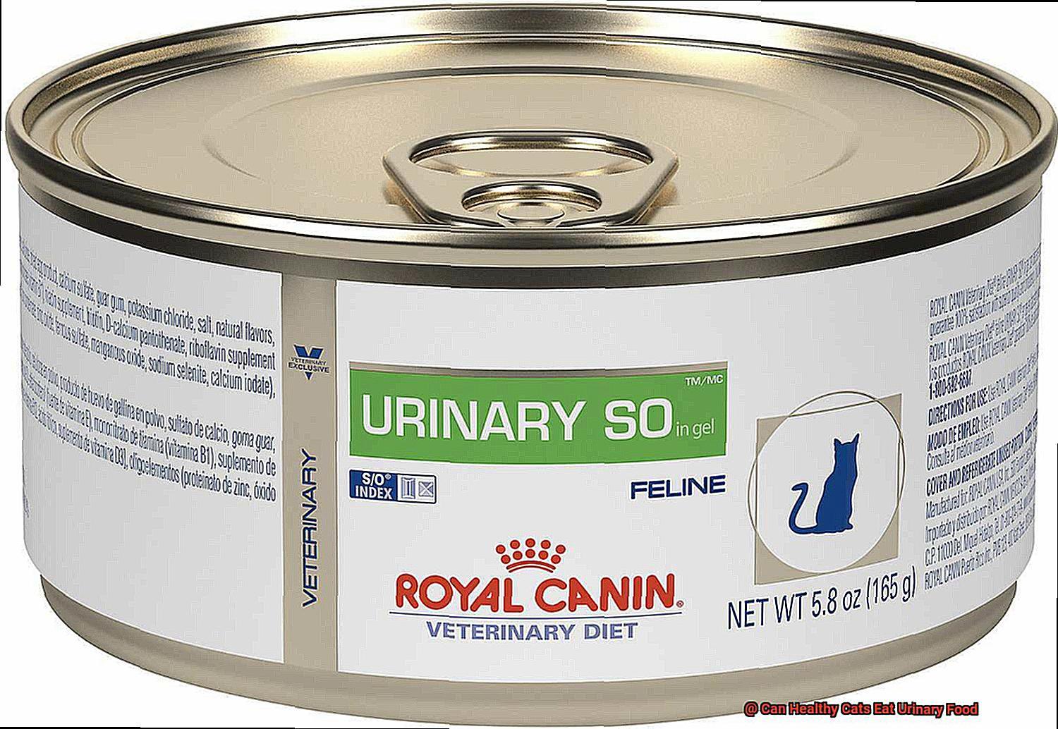 Can Healthy Cats Eat Urinary Food?